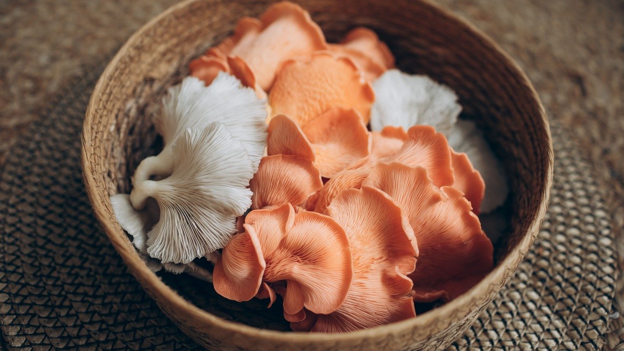 Estrogonofe Vegano de Cogumelos: Molho Cremoso Sem Laticínios